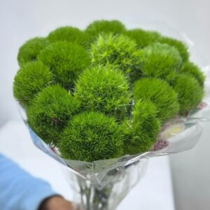 10 pieces green boll