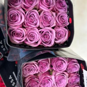 1 bouch purple rose 25 pieces