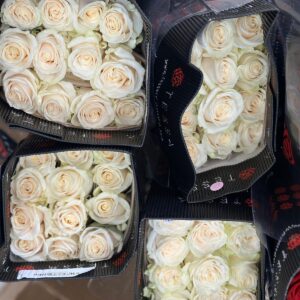 1 bouch white rose 25 pieces